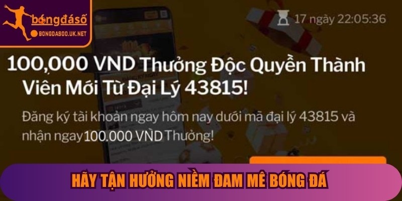 Hãy tận hưởng niềm đam mê bóng đá theo cách chuyên nghiệp nhất