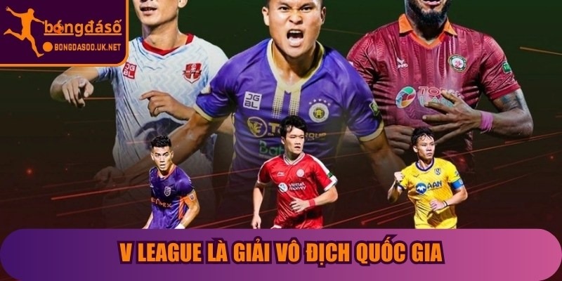 V League là giải vô địch quốc gia do Liên đoàn Bóng đá Việt Nam quản lý và tổ chức
