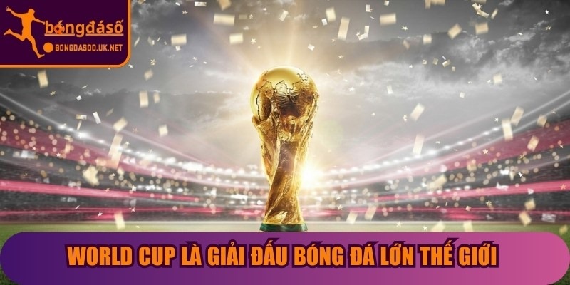 World Cup là giải đấu bóng đá lớn thế giới dành cho các đội tuyển quốc gia nam
